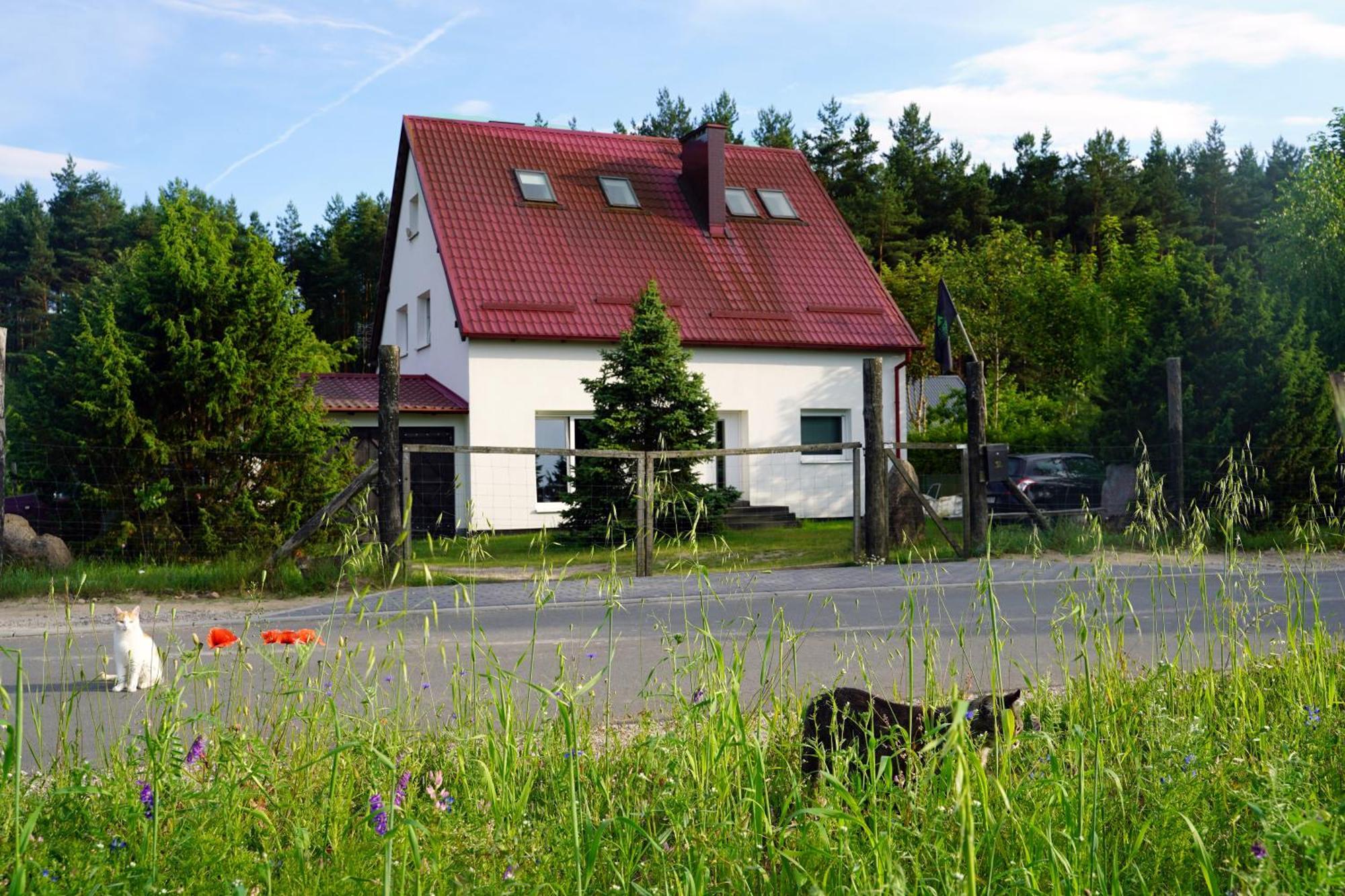 Apartamento Leśna Kryjówka Trzebciny Exterior foto