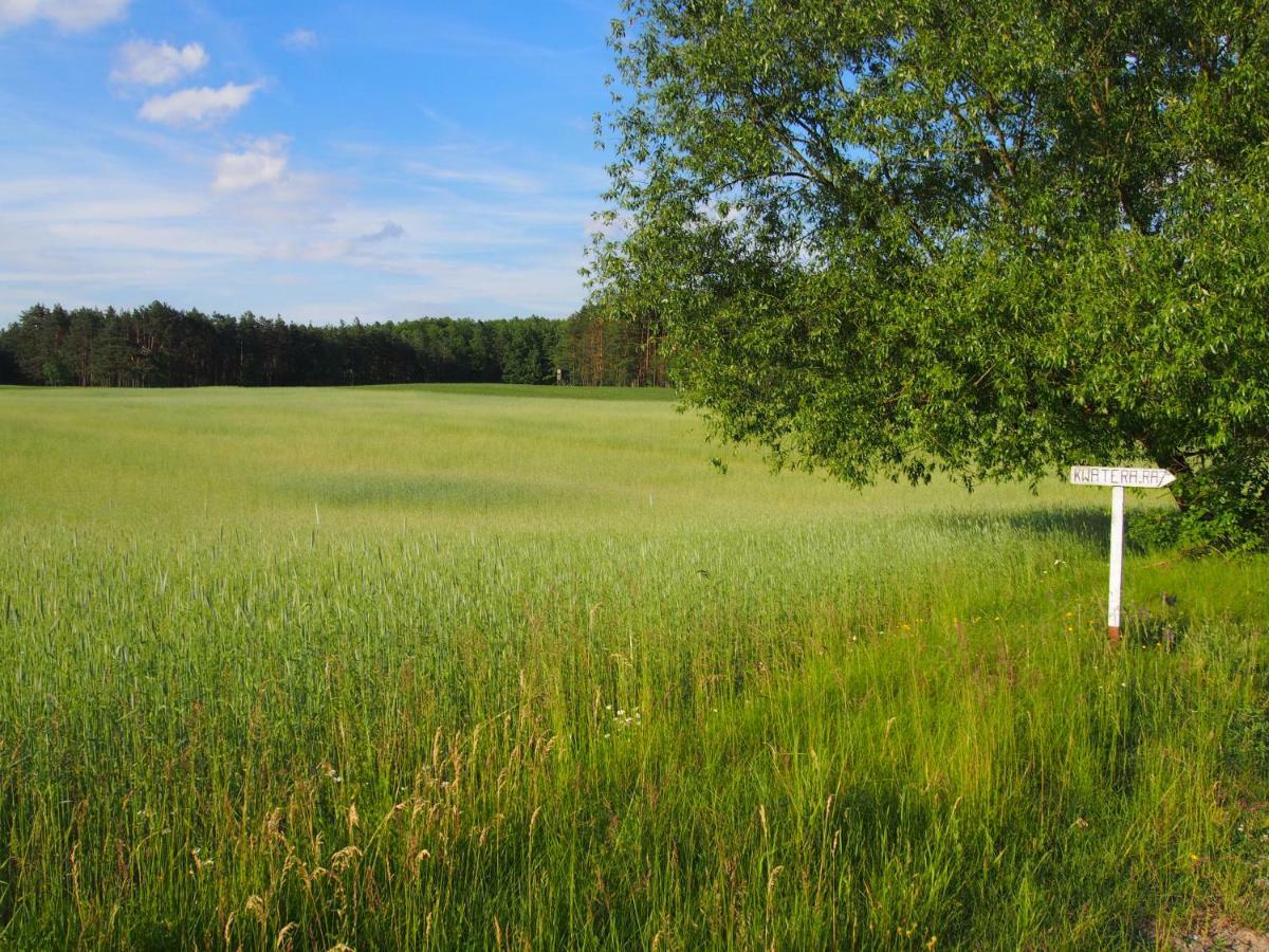 Apartamento Leśna Kryjówka Trzebciny Exterior foto